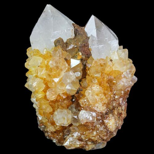 Sunshine Cactus Quartz Crystal Cluster - South Africa #80218
